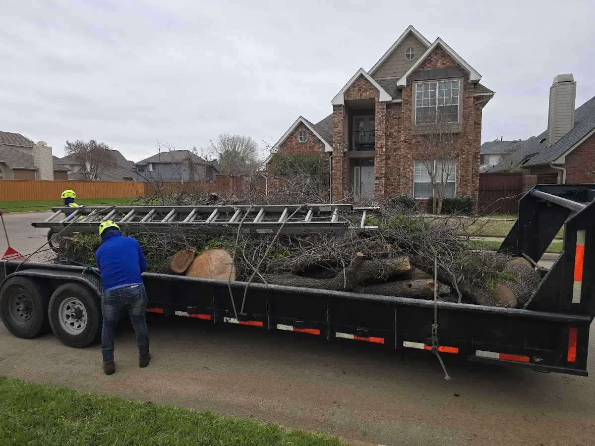 Expert Tree Removal with proper safety equipment in Conasauga